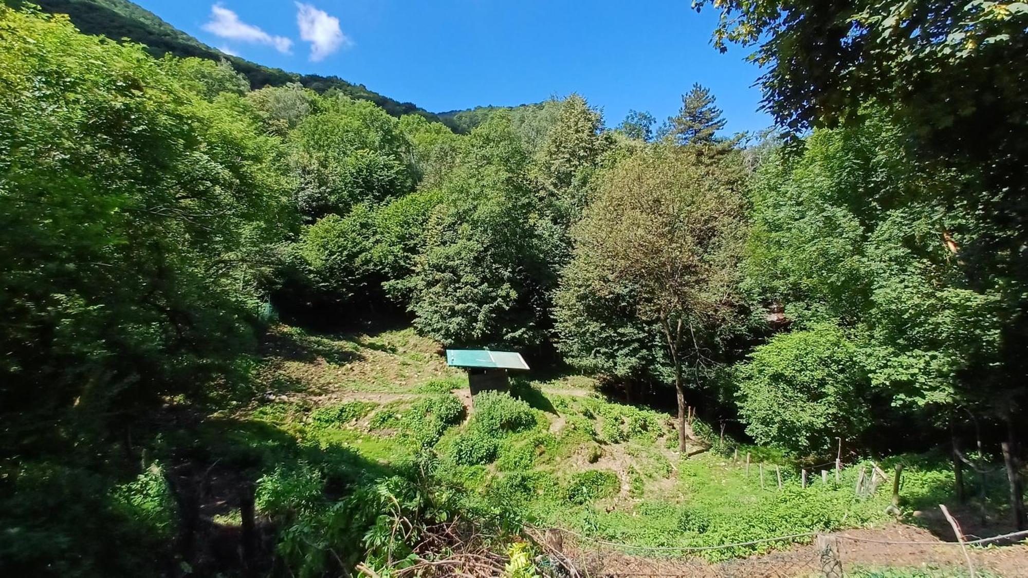 La Stanza Del Bosco Apartment Arcumeggia Exterior photo